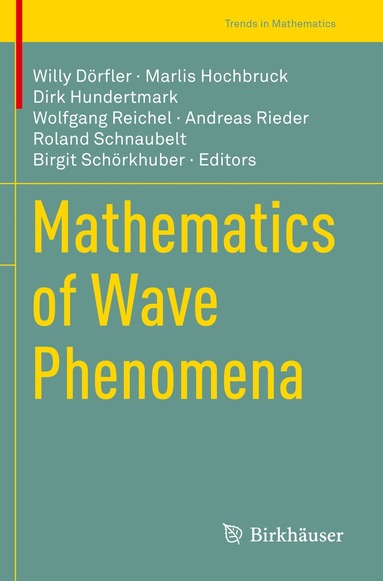 Willy Dörfler, Marlis Hochbruck, Dirk Hundertmark, Wolfgang Reichel, Andreas Rieder, Roland Schnaubelt, Birgit Schörkhuber - Mathematics of Wave Phenomena, Häftad