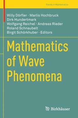 Mathematics of Wave Phenomena 1