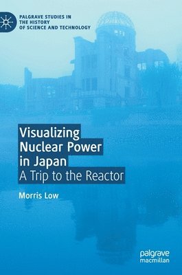 bokomslag Visualizing Nuclear Power in Japan