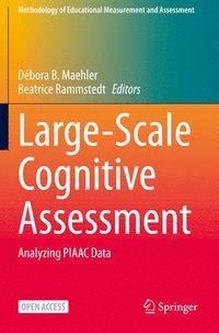 bokomslag Large-Scale Cognitive Assessment