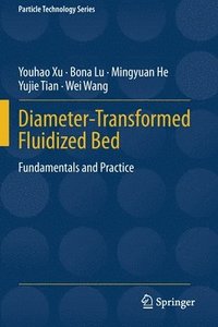 bokomslag Diameter-Transformed Fluidized Bed