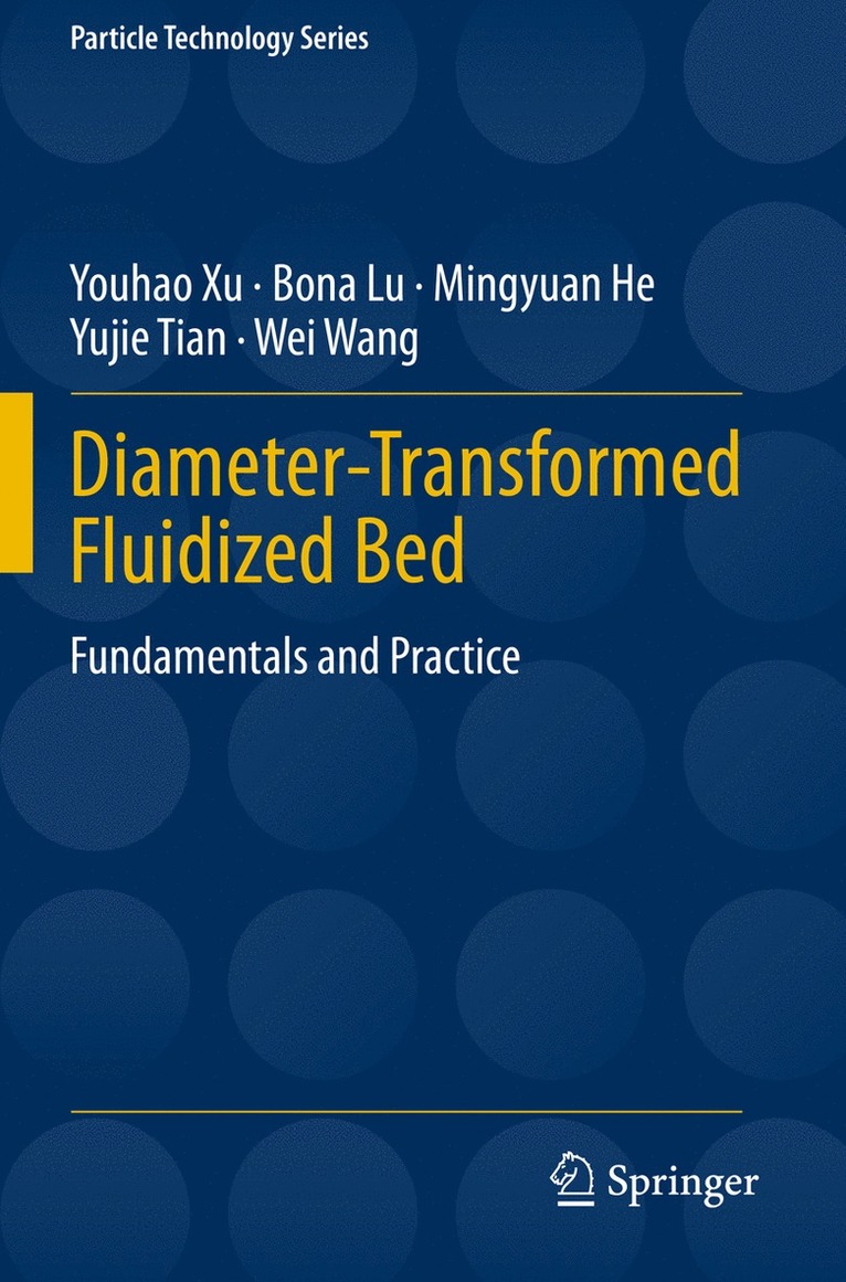 Youhao Xu, Bona Lu, Mingyuan He, Yujie Tian, Wei Wang - Diameter-Transformed Fluidized Bed, Häftad