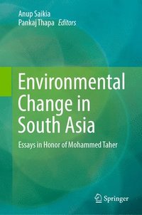 bokomslag Environmental Change in South Asia