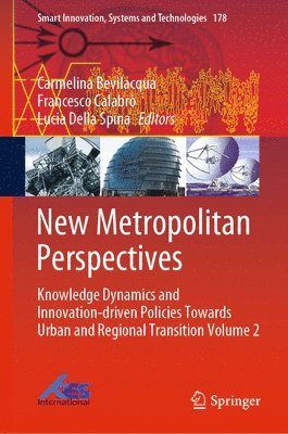 bokomslag New Metropolitan Perspectives