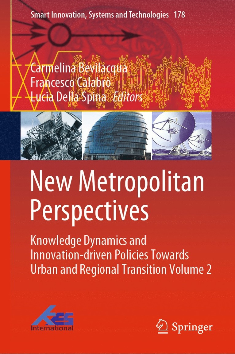 New Metropolitan Perspectives 1