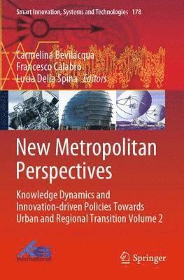 bokomslag New Metropolitan Perspectives