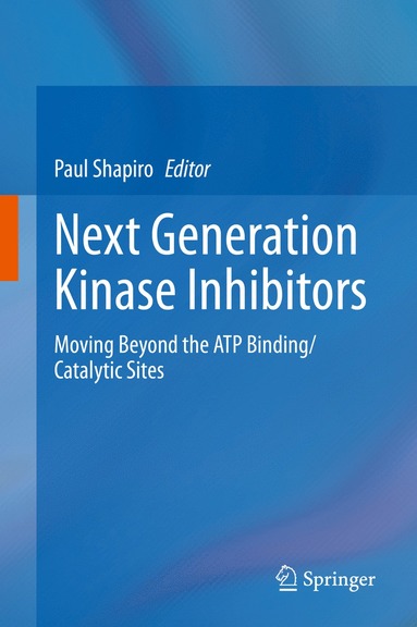 bokomslag Next Generation Kinase Inhibitors