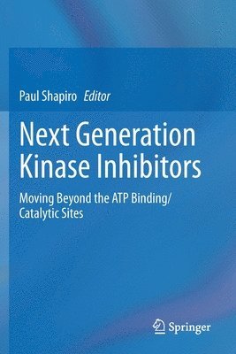 bokomslag Next Generation Kinase Inhibitors