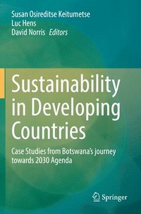 bokomslag Sustainability in Developing Countries