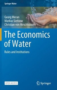 bokomslag The Economics of Water