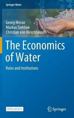 bokomslag Economics of Water