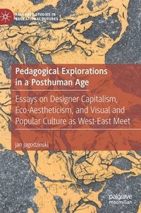 bokomslag Pedagogical Explorations in a Posthuman Age