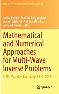 bokomslag Mathematical and Numerical Approaches for Multi-Wave Inverse Problems