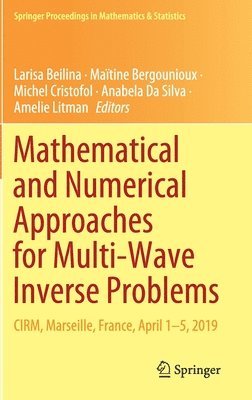 Mathematical and Numerical Approaches for Multi-Wave Inverse Problems 1