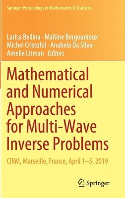 Larisa Beilina, Maïtine Bergounioux, Michel Cristofol, Anabela Da Silva, Amelie Litman, Maitine Bergounioux - Mathematical and Numerical Approaches for Multi-Wave Inverse Problems, Inbunden