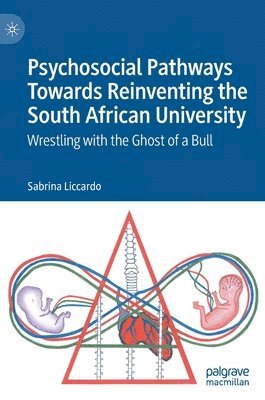 bokomslag Psychosocial Pathways Towards Reinventing the South African University