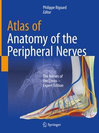 bokomslag Atlas of Anatomy of the peripheral nerves