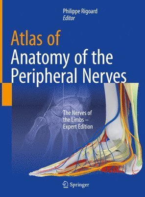 Atlas of Anatomy of the peripheral nerves 1