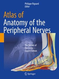 bokomslag Atlas of Anatomy of the peripheral nerves