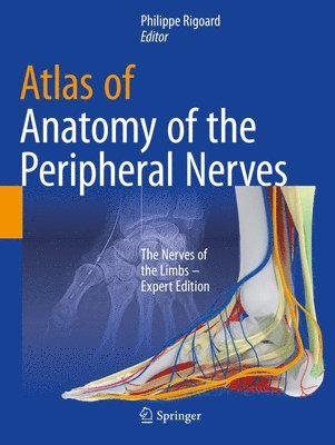 Atlas of Anatomy of the peripheral nerves 1