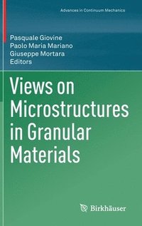 bokomslag Views on Microstructures in Granular Materials