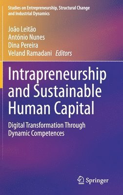 bokomslag Intrapreneurship and Sustainable Human Capital