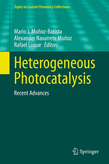 Mario J. Muñoz-Batista, Alexander Navarrete Muñoz, Rafael Luque - Heterogeneous Photocatalysis, Häftad