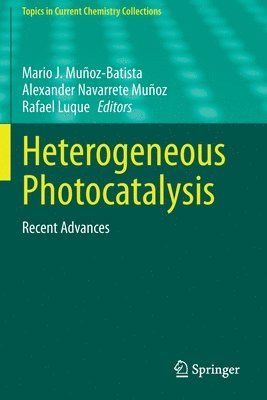 Mario J. Muñoz-Batista, Alexander Navarrete Muñoz, Rafael Luque, Mario J. Munoz-Batista, Alexander Navarrete Munoz - Heterogeneous Photocatalysis, Häftad