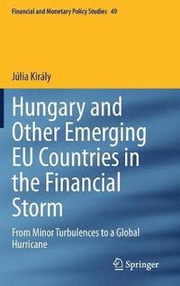 bokomslag Hungary and Other Emerging EU Countries in the Financial Storm