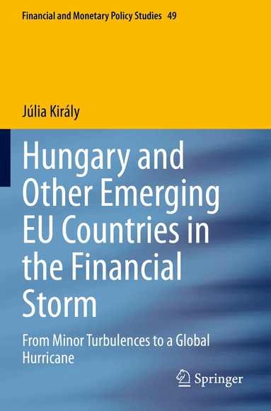 Júlia Király - Hungary and Other Emerging EU Countries in the Financial Storm, Häftad