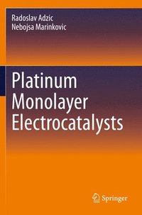 bokomslag Platinum Monolayer Electrocatalysts