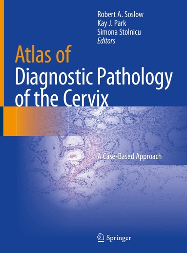 Robert A. Soslow, Kay J. Park, Simona Stolnicu - Atlas of Diagnostic Pathology of the Cervix, Inbunden