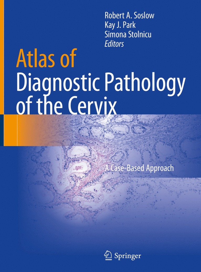 Robert A. Soslow, Kay J. Park, Simona Stolnicu, M.D. Soslow, Robert A. - Atlas of Diagnostic Pathology of the Cervix, Inbunden