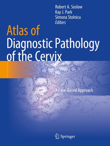 Robert A. Soslow, Kay J. Park, Simona Stolnicu - Atlas of Diagnostic Pathology of the Cervix, Häftad
