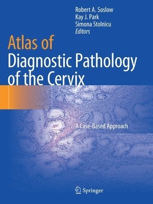 bokomslag Atlas of Diagnostic Pathology of the Cervix