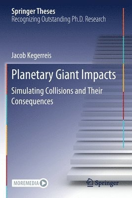 bokomslag Planetary Giant Impacts