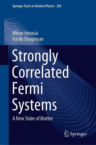 Miron Amusia, Vasily Shaginyan - Strongly Correlated Fermi Systems, Inbunden