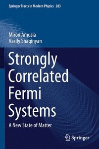 bokomslag Strongly Correlated Fermi Systems