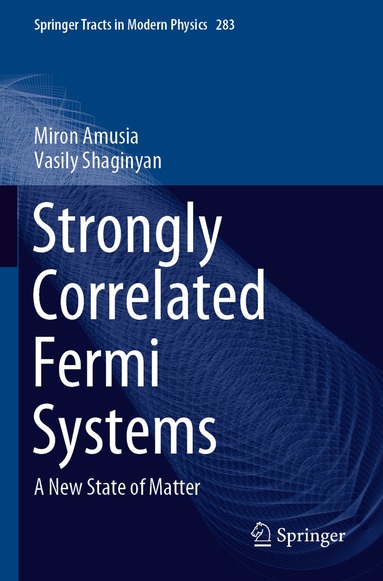 Miron Amusia, Vasily Shaginyan - Strongly Correlated Fermi Systems, Häftad