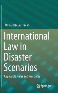 bokomslag International Law in Disaster Scenarios