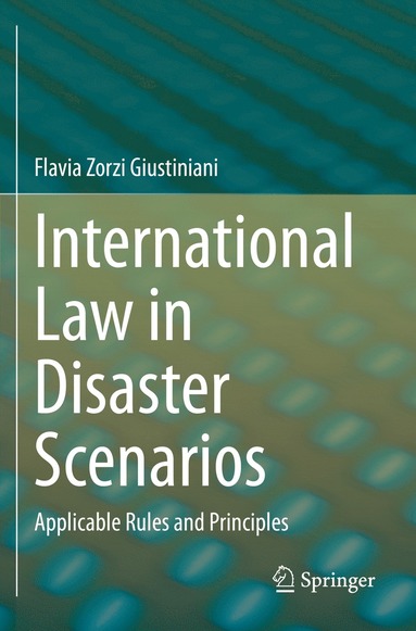 bokomslag International Law in Disaster Scenarios