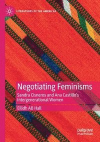 bokomslag Negotiating Feminisms