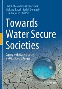 bokomslag Towards Water Secure Societies