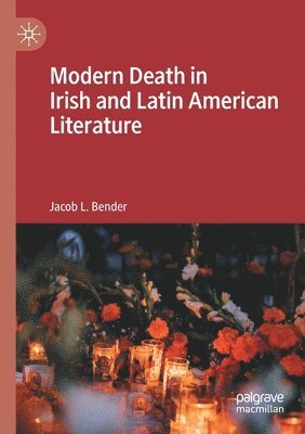 bokomslag Modern Death in Irish and Latin American Literature