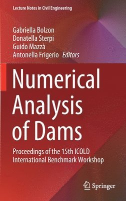 bokomslag Numerical Analysis of Dams