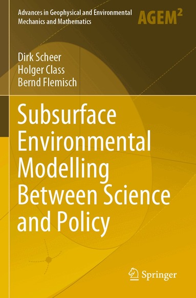 Dirk Scheer, Holger Class, Bernd Flemisch - Subsurface Environmental Modelling Between Science and Policy, Häftad