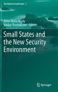 bokomslag Small States and the New Security Environment