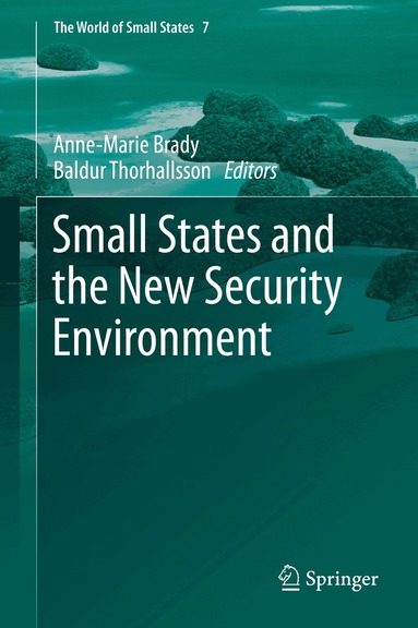 Anne-Marie Brady, Baldur Thorhallsson - Small States and the New Security Environment, Inbunden