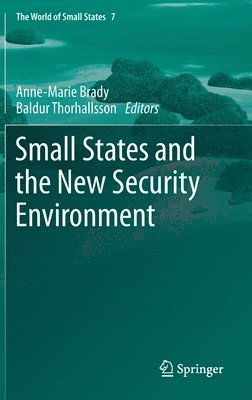 Small States and the New Security Environment 1