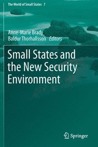 bokomslag Small States and the New Security Environment